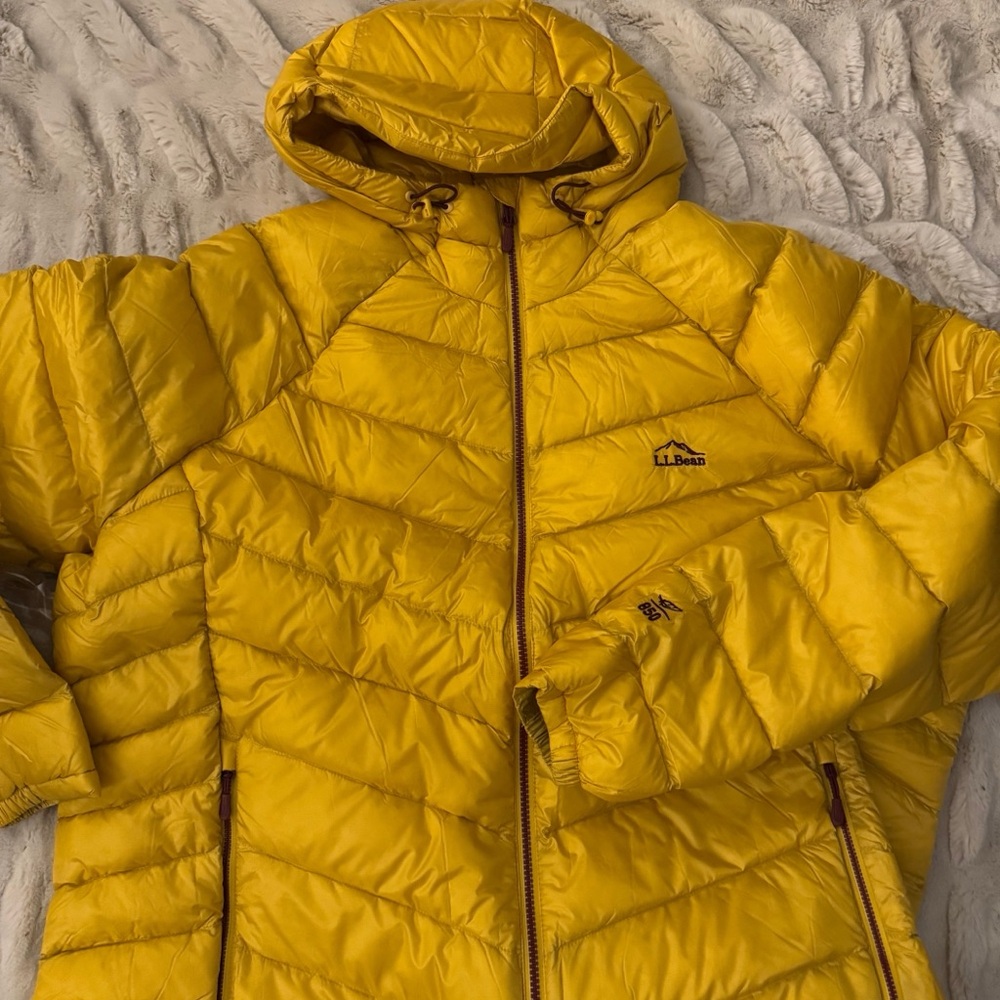 Gorgeous LL Bean down hooded zip front jacket